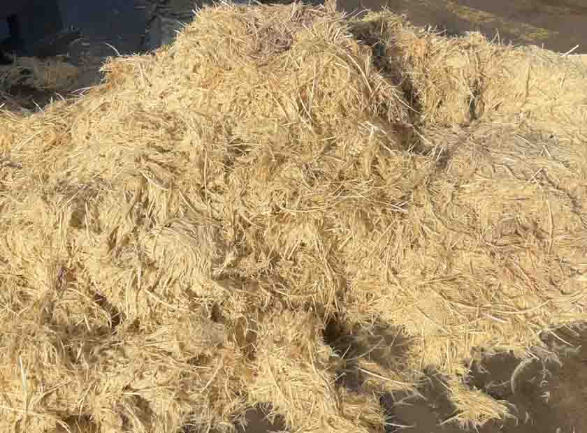 Screw press dewatering machine processing chicken feathers