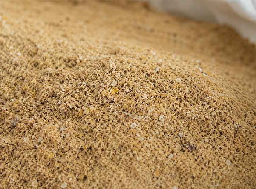 Screw press dewatering machine processing corn bran