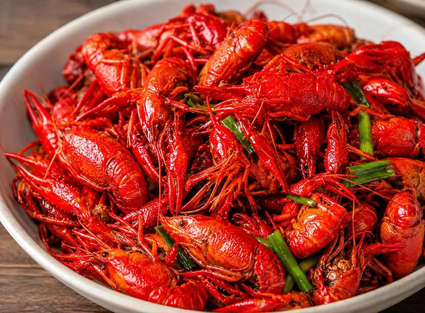 Screw press dewatering machine processing crayfish shells