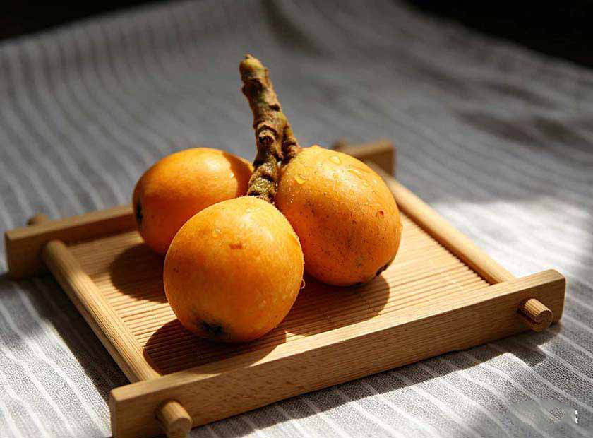 Screw press dewatering machine processing loquat