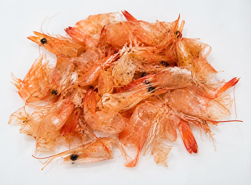 Screw press dewatering machine processing prawns shell