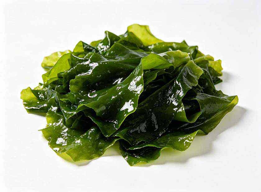 Screw press dewatering machine processing seaweed