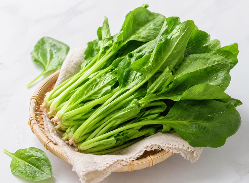 Screw press dewatering machine processing spinach