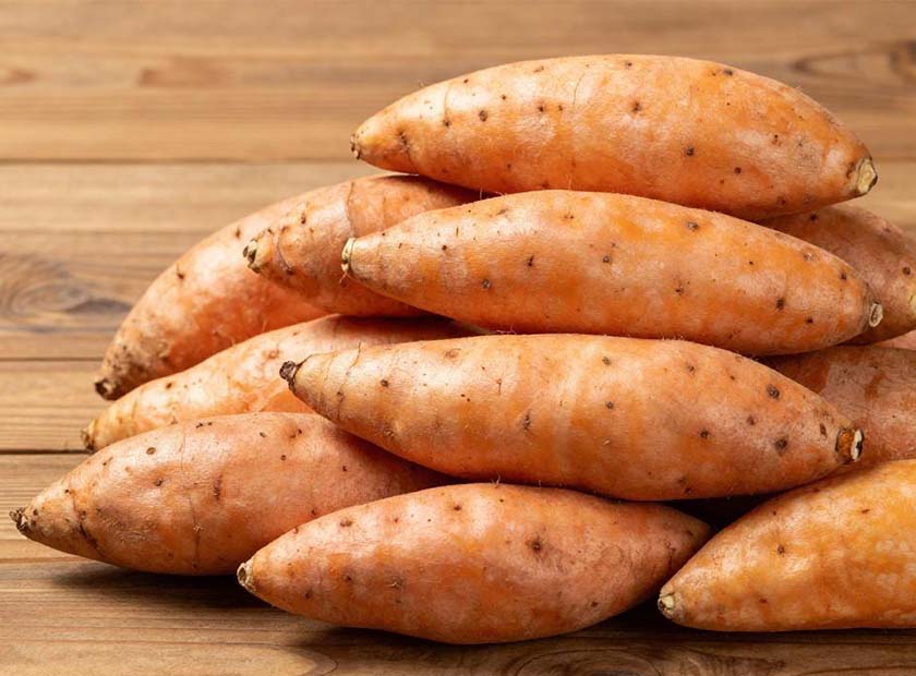 Screw press dewatering machine processing sweet potato