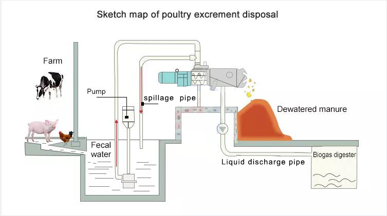 Cow Dung Processor Solid Liquid Separator Screw Press , sketch map of poultry excrement disposal